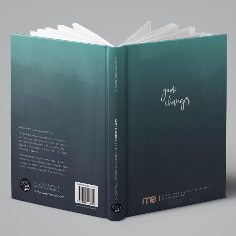 Game changer gratitude journal for mindset 